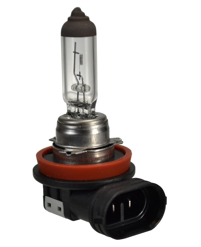 Front View of Front Fog Light Bulb HELLA H16