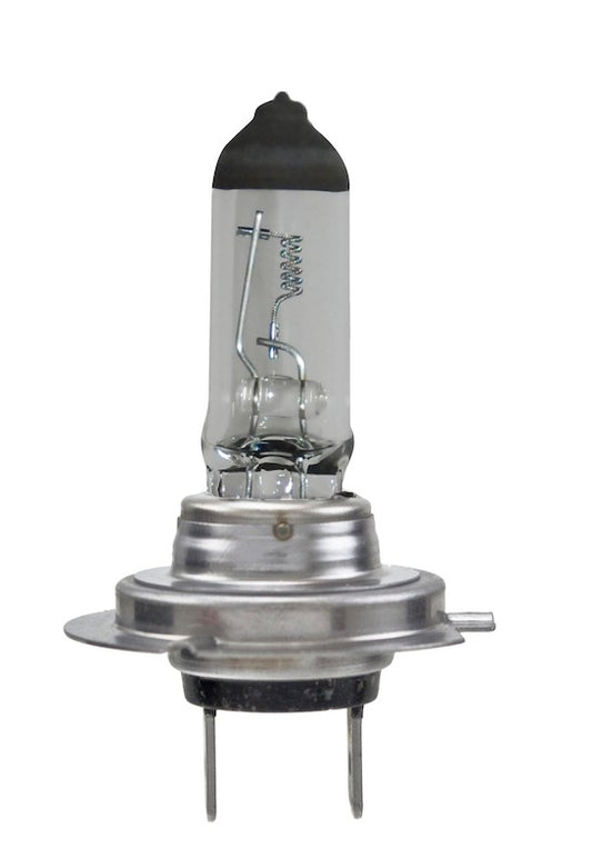 Front View of Cornering Light Bulb HELLA H724V