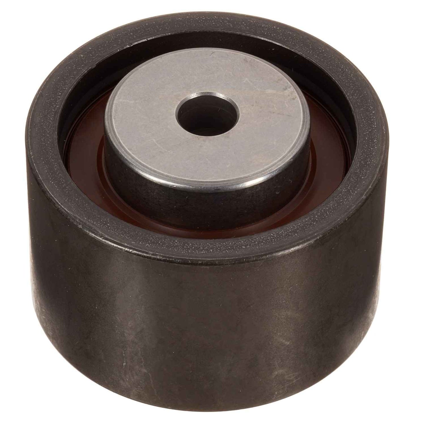 Angle View of Engine Timing Idler INA ZP02251