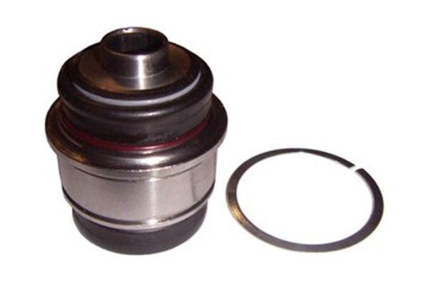 Front View of Rear Suspension Control Arm Bushing SUSPENSIA X05BU4606