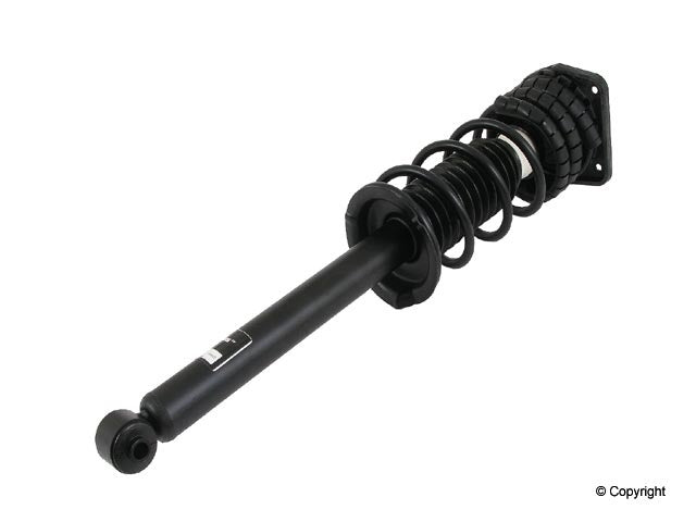 Top View of Rear Suspension Strut and Coil Spring Assembly KYB SR4025