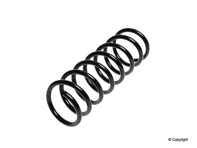 Top View of Rear Coil Spring LESJOFORS 4295838