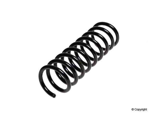 Top View of Rear Coil Spring LESJOFORS 4295841