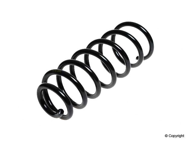 Top View of Rear Coil Spring LESJOFORS 4295842