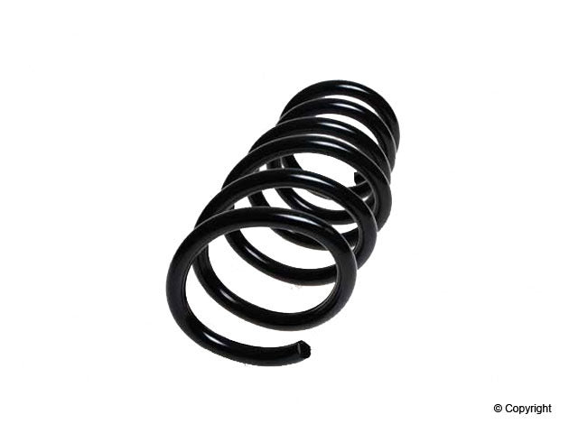 Top View of Rear Coil Spring LESJOFORS 4295851