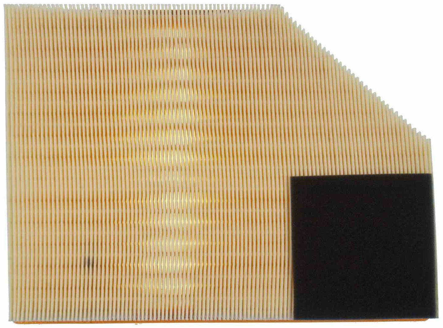 Bottom View of Air Filter MAHLE LX1219