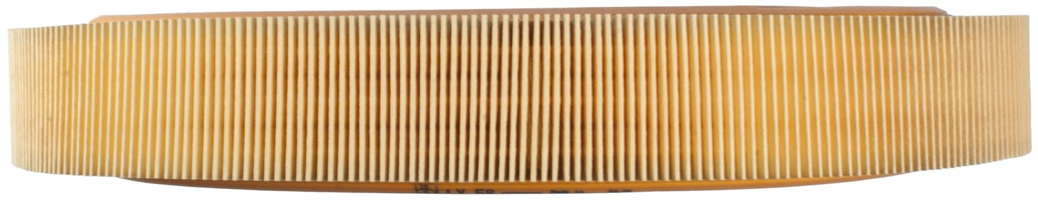 Side View of Air Filter MAHLE LX58