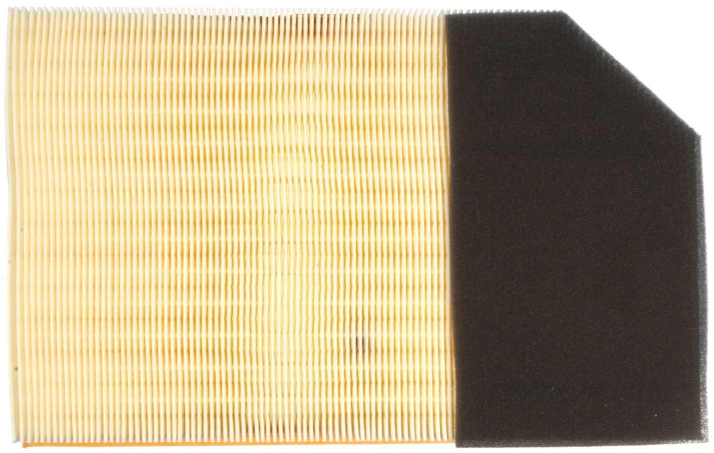 Bottom View of Air Filter MAHLE LX868