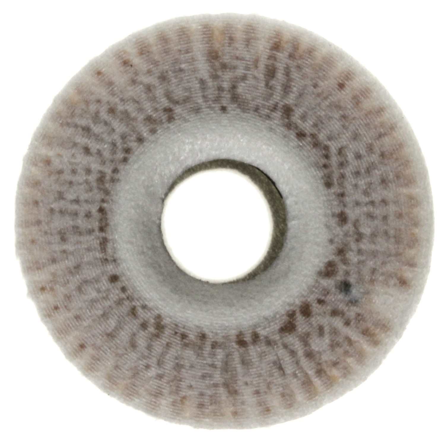 Bottom View of Engine Oil Filter MAHLE OX351D