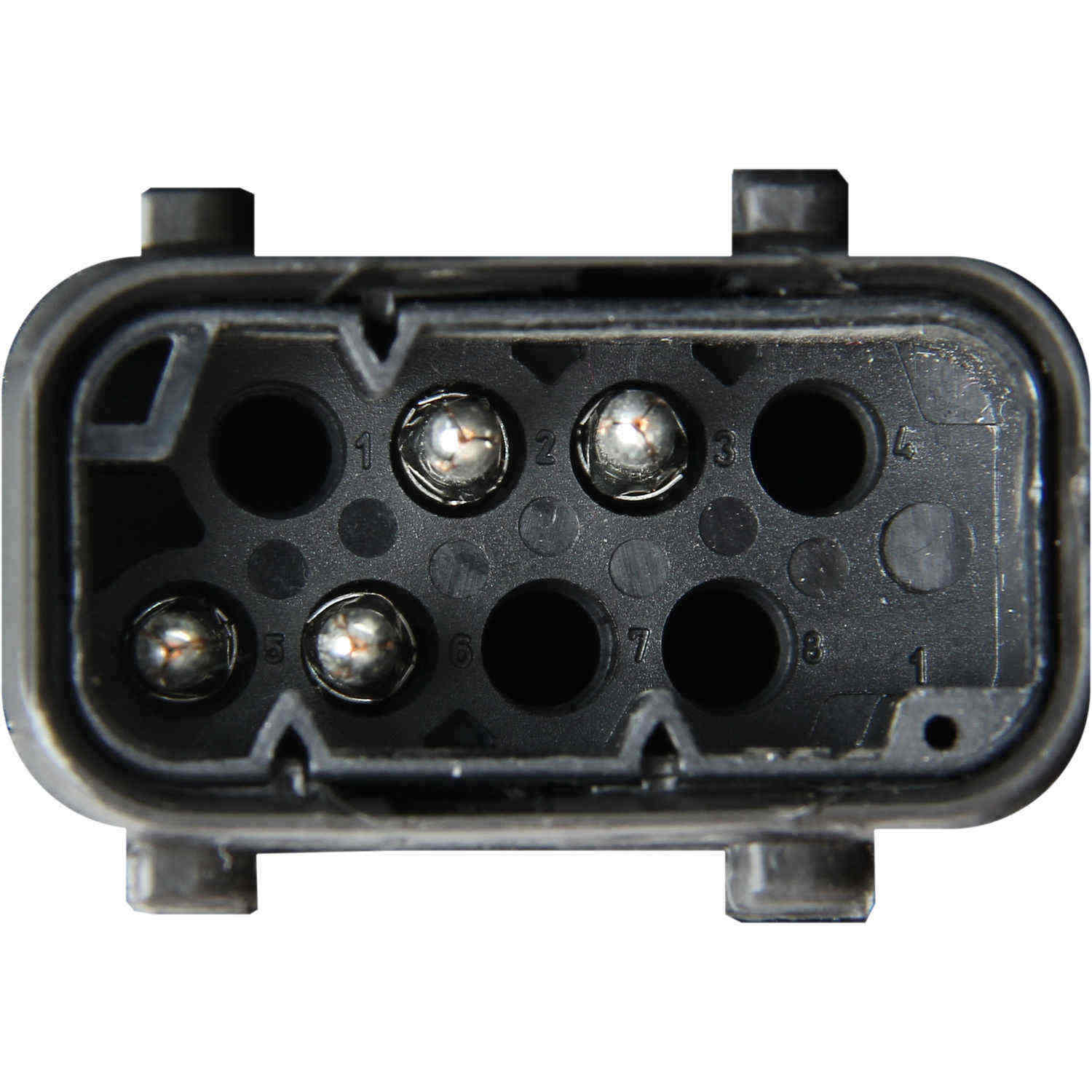 Connector View of Right Headlight Assembly MARELLI LUS5611