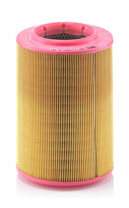 Front View of Air Filter MANN C17201/3