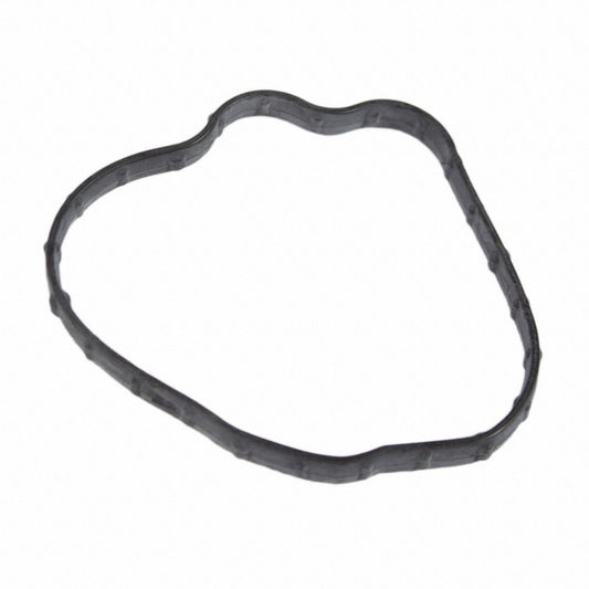 Back View of Engine Intake Manifold Gasket MOTORCRAFT CG811