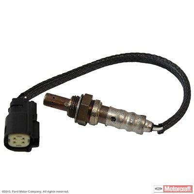 Front View of Oxygen Sensor Bung Plug MOTORCRAFT DY1162