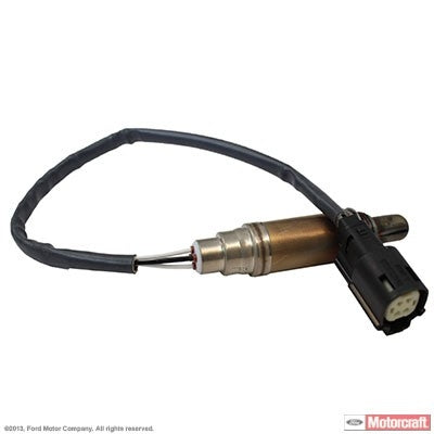 Front View of Oxygen Sensor Bung Plug MOTORCRAFT DY1181