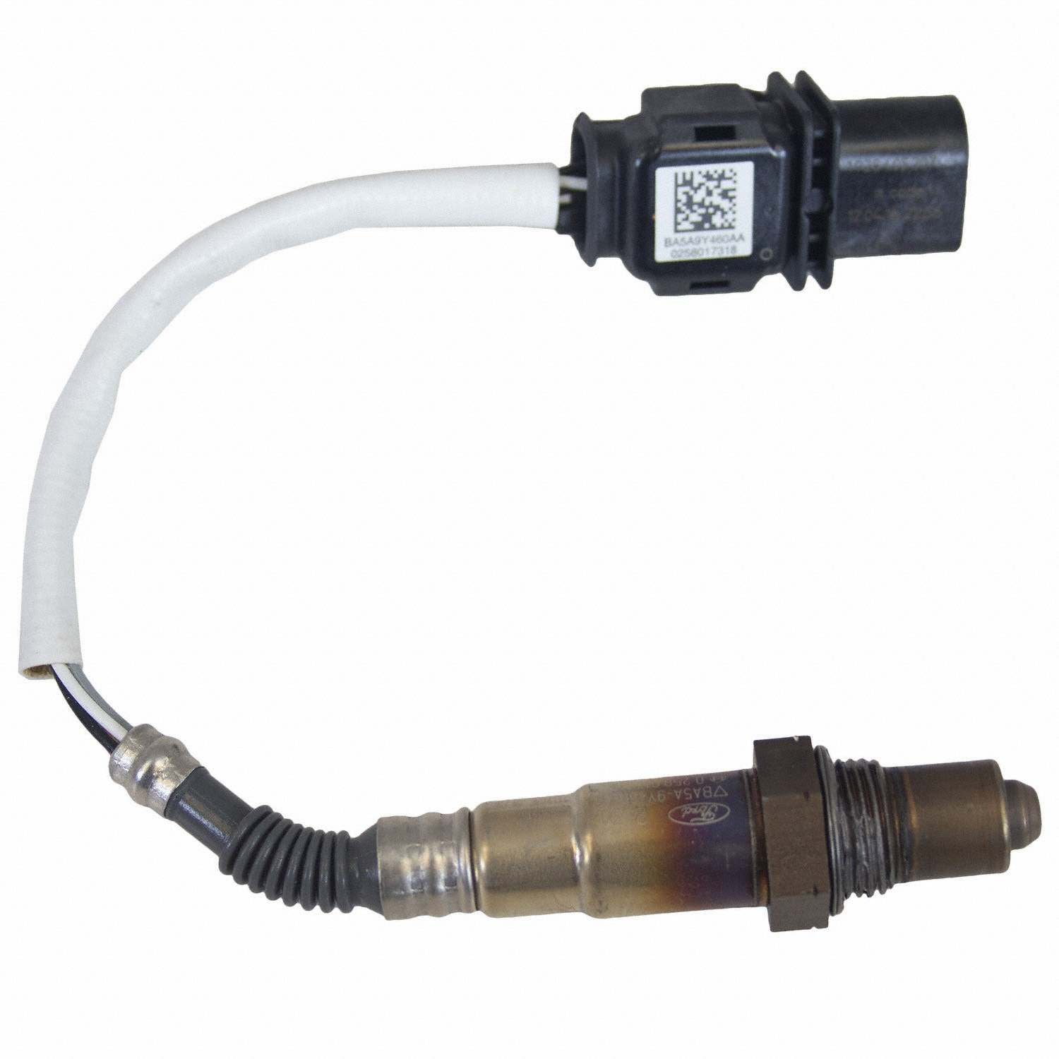 Back View of Oxygen Sensor Bung Plug MOTORCRAFT DY1182