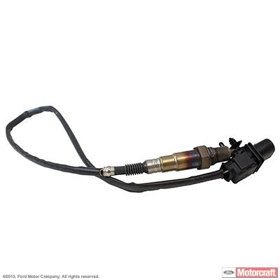 Front View of Oxygen Sensor Bung Plug MOTORCRAFT DY1184