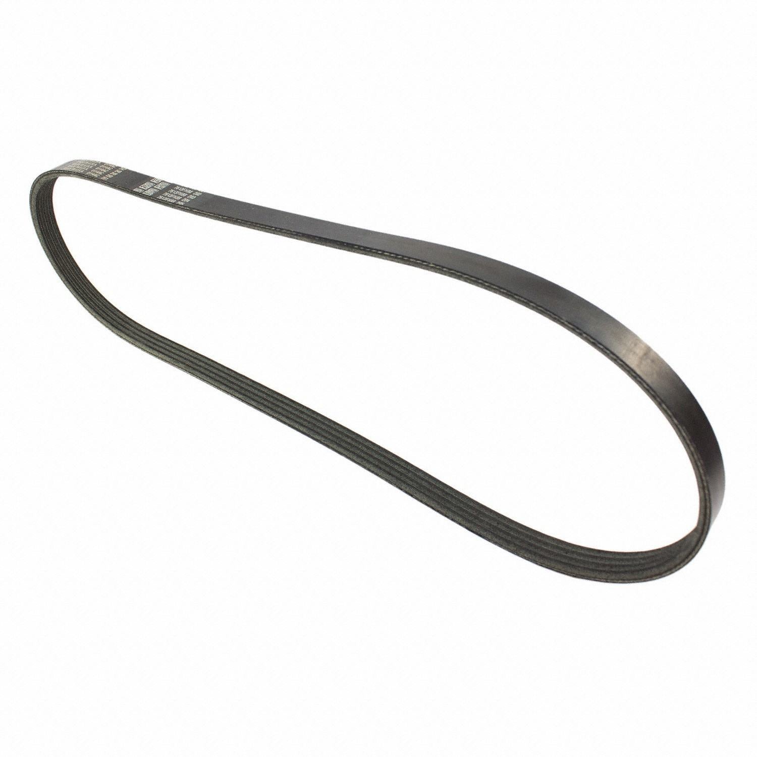 Angle View of Accessory Drive Belt MOTORCRAFT JK4371