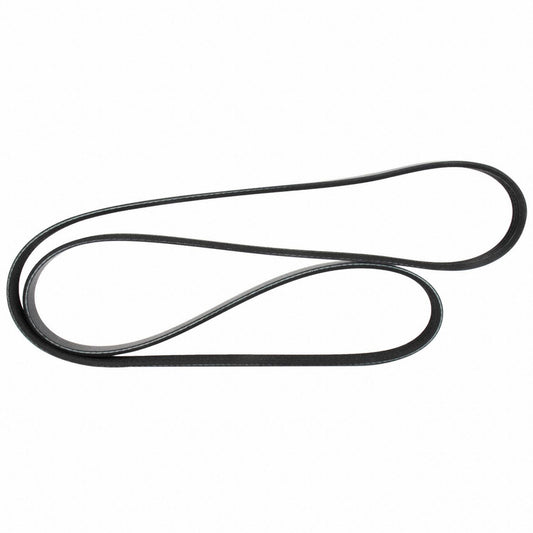 Front View of Accessory Drive Belt MOTORCRAFT JK4542B