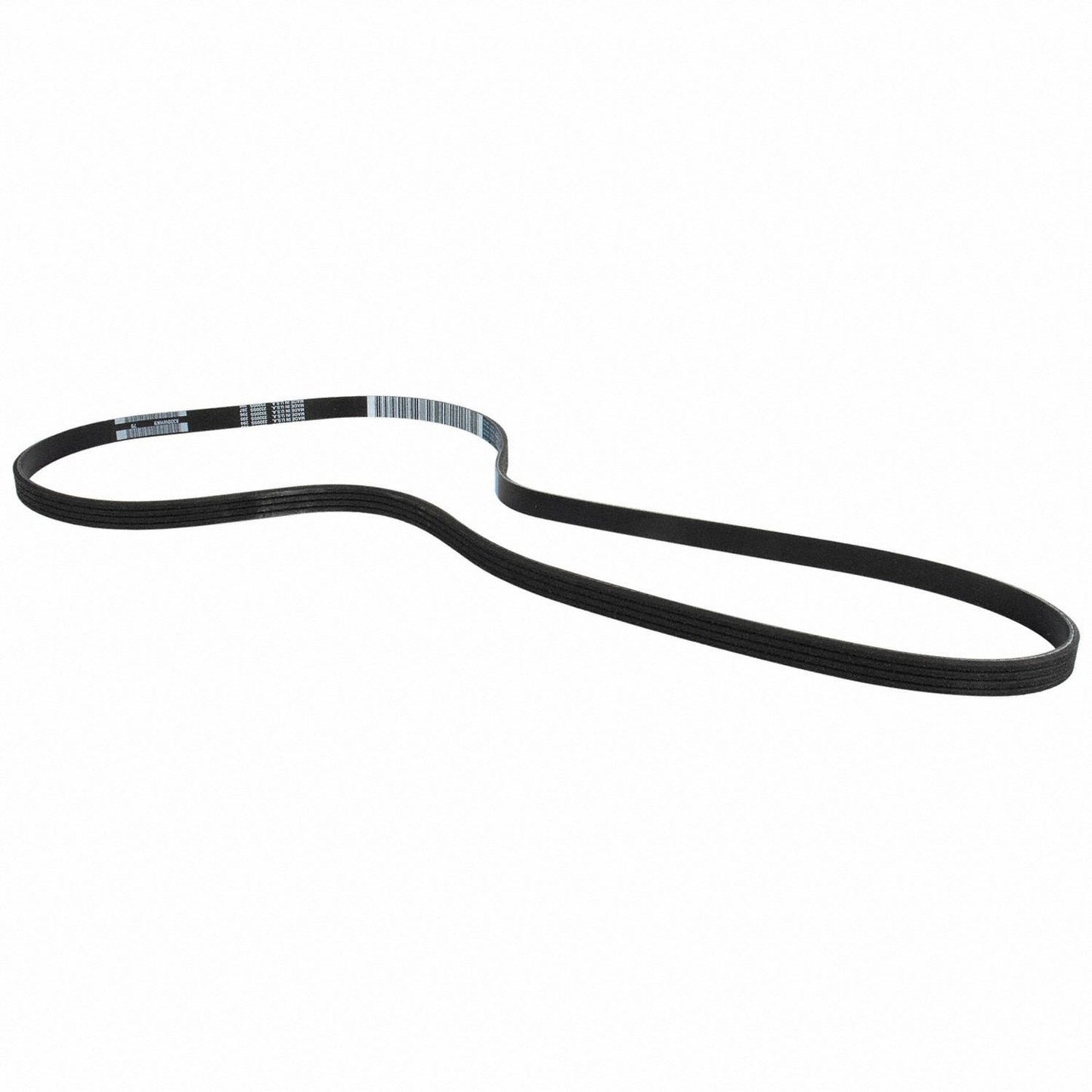 Left View of Accessory Drive Belt MOTORCRAFT JK4542B