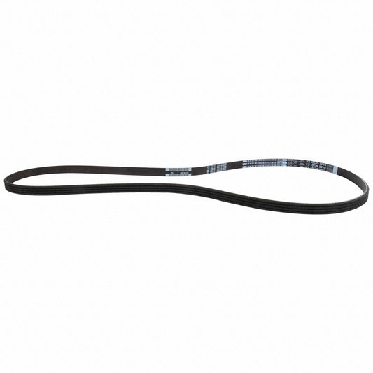 Front View of Accessory Drive Belt MOTORCRAFT JK4546A