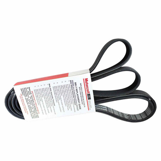 Angle View of Accessory Drive Belt MOTORCRAFT JK61013B