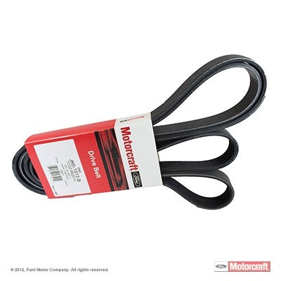 Front View of Accessory Drive Belt MOTORCRAFT JK61013B