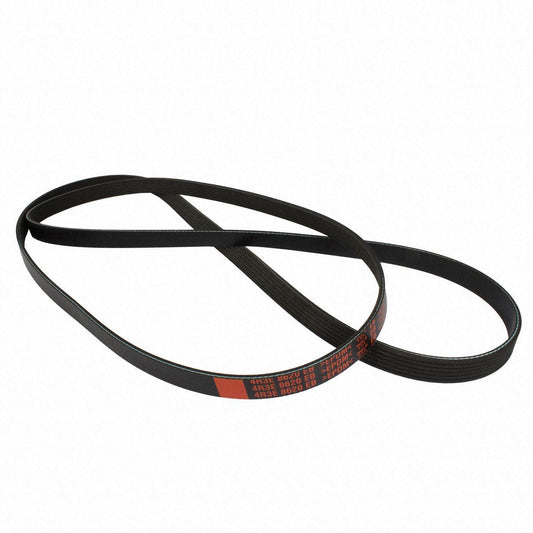 Angle View of Accessory Drive Belt MOTORCRAFT JK61022EB