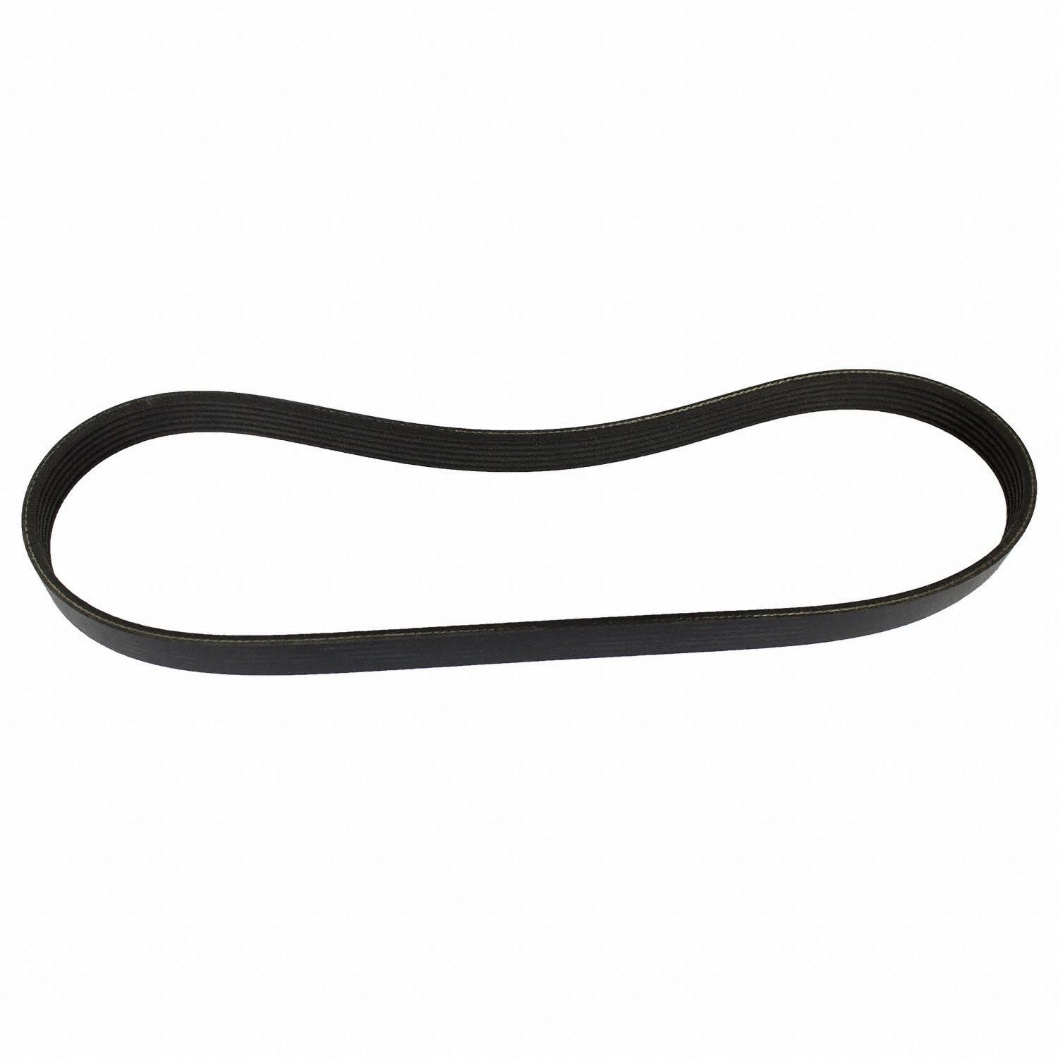 Front View of Accessory Drive Belt MOTORCRAFT JK6342B