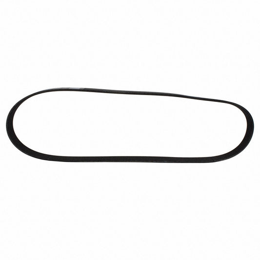 Front View of Accessory Drive Belt MOTORCRAFT JK6441