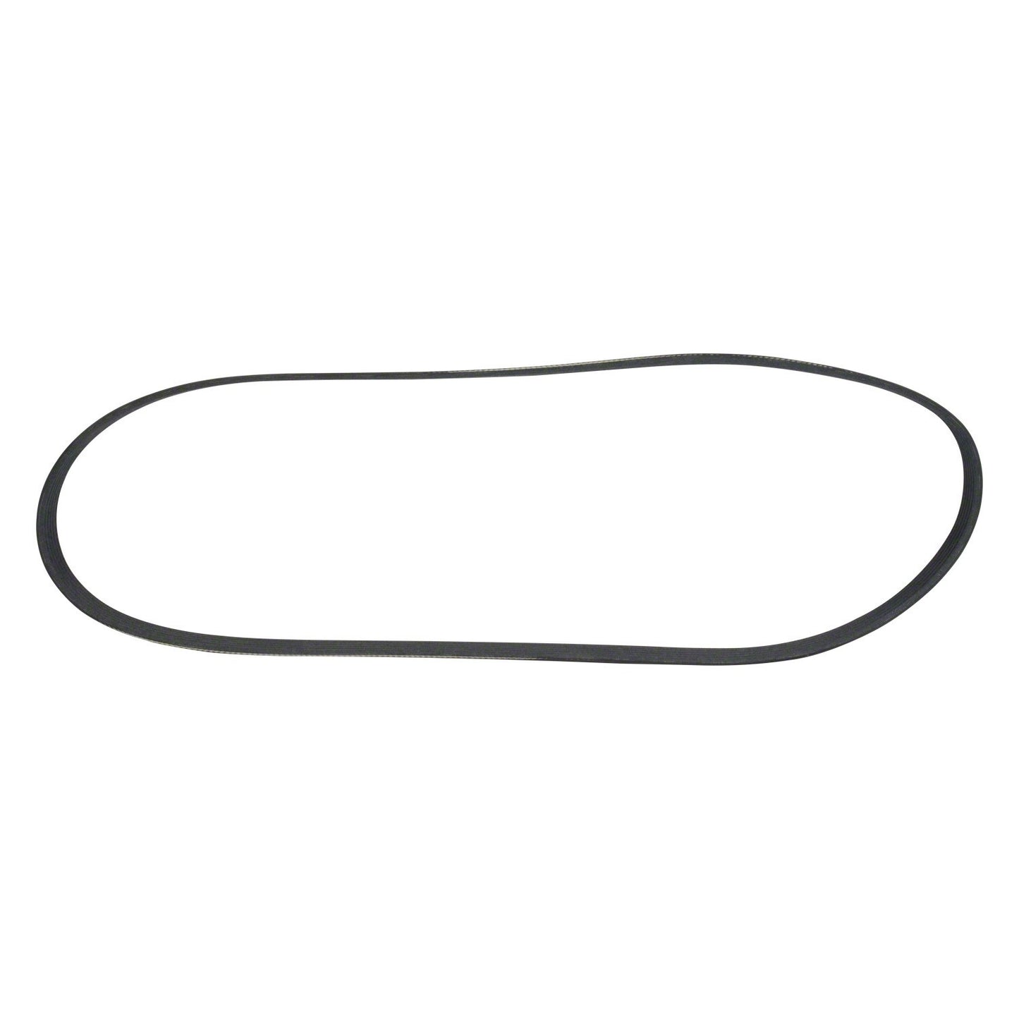 Front View of Accessory Drive Belt MOTORCRAFT JK6505