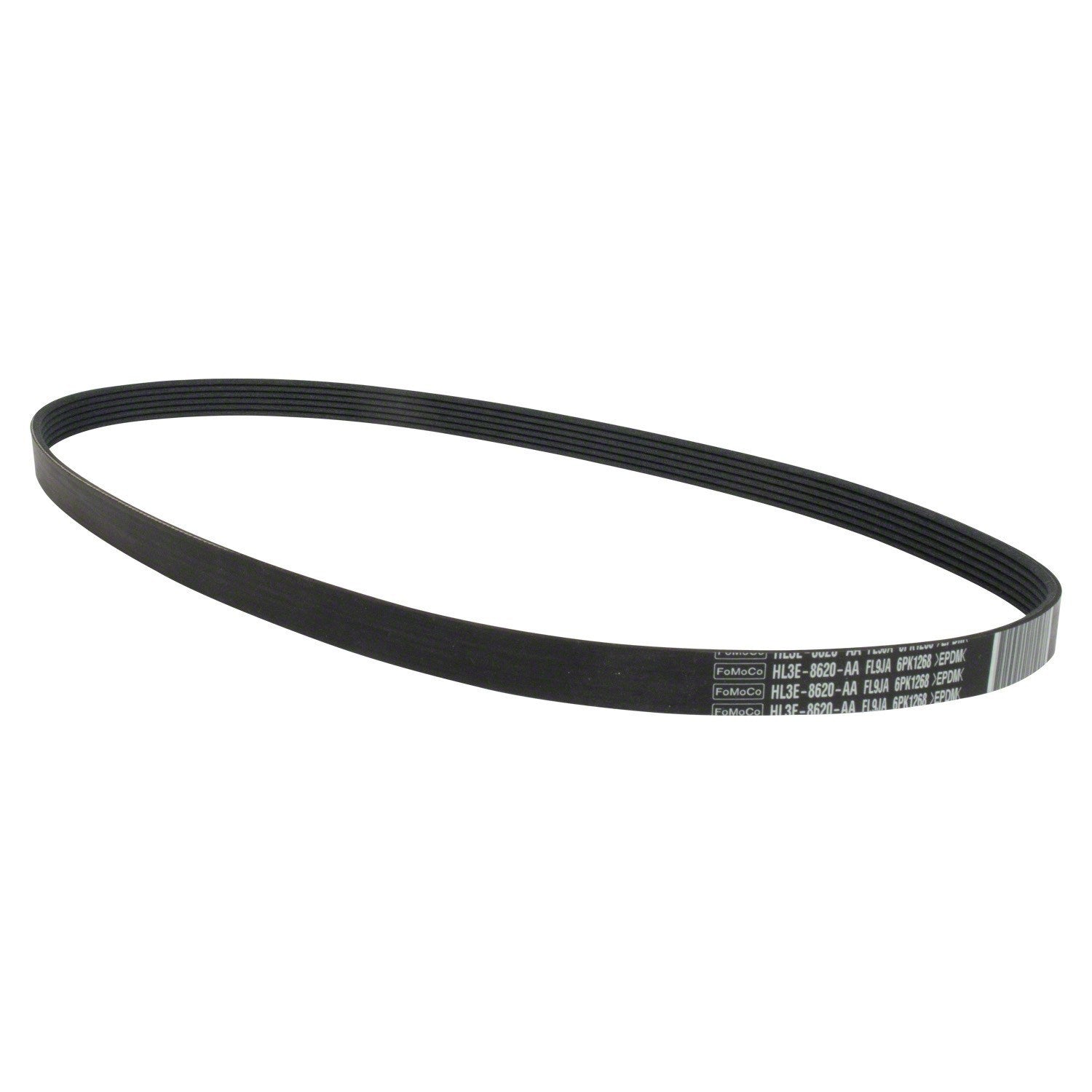 Left View of Accessory Drive Belt MOTORCRAFT JK6505