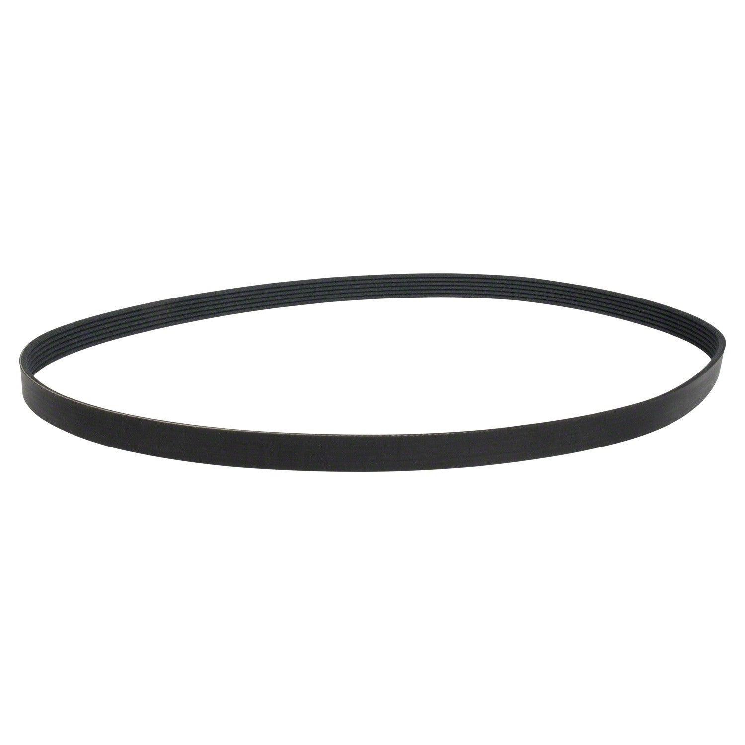 Right View of Accessory Drive Belt MOTORCRAFT JK6505