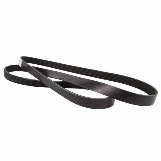 Back View of Accessory Drive Belt MOTORCRAFT JK6682