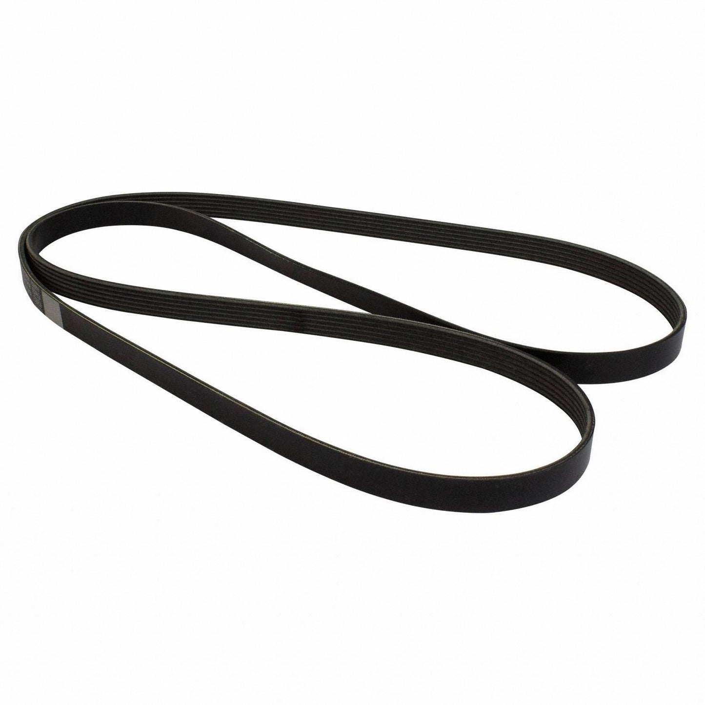 Angle View of Accessory Drive Belt MOTORCRAFT JK6881BB