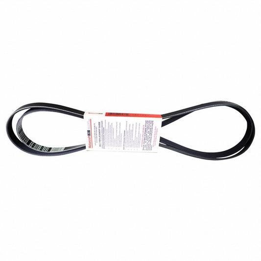 Back View of Accessory Drive Belt MOTORCRAFT JK6931