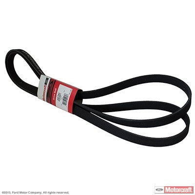 Front View of Accessory Drive Belt MOTORCRAFT JK81263