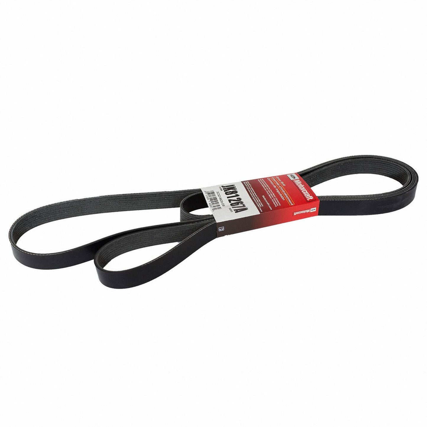 Front View of Accessory Drive Belt MOTORCRAFT JK81267A