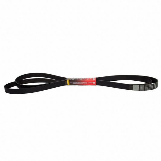 Angle View of Accessory Drive Belt MOTORCRAFT JK81353