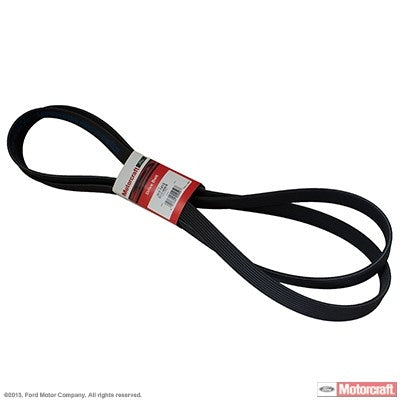 Front View of Accessory Drive Belt MOTORCRAFT JK81413