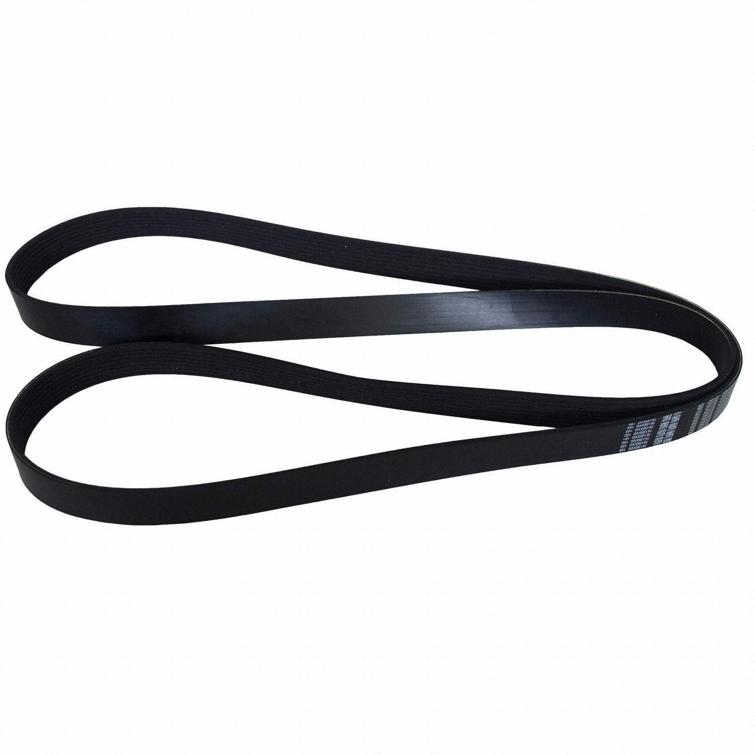 Back View of Accessory Drive Belt MOTORCRAFT JK8872E