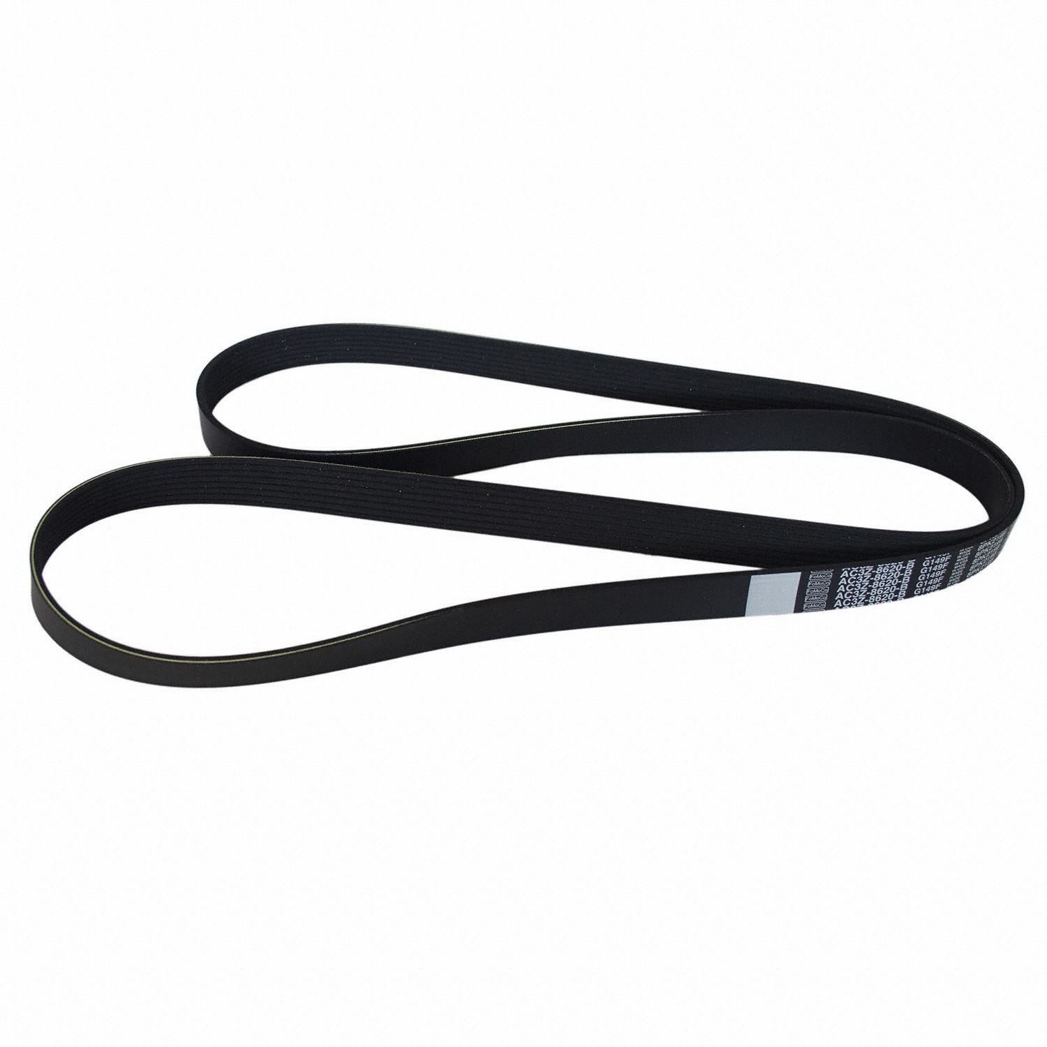 Front View of Accessory Drive Belt MOTORCRAFT JK8872E