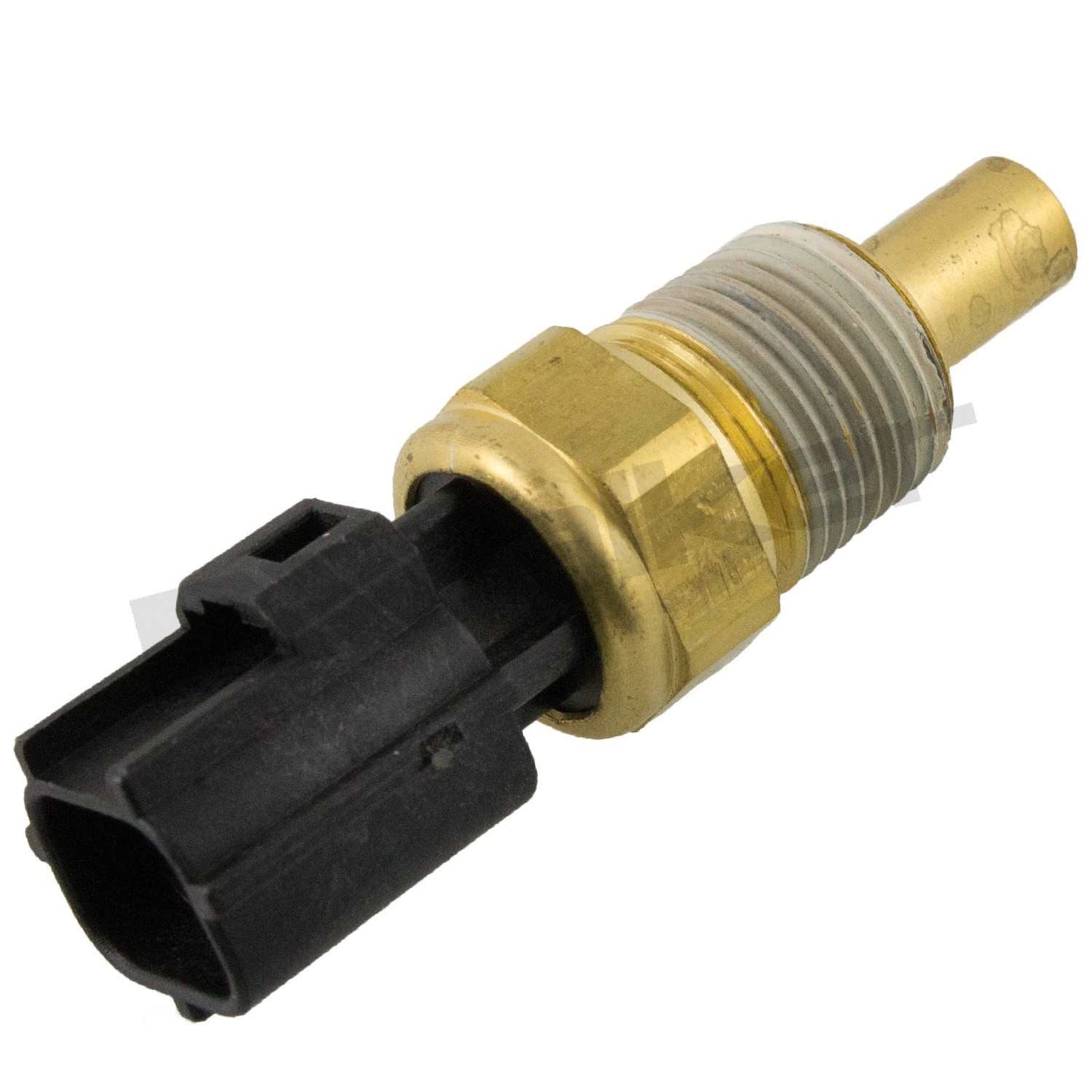 Front View of Engine Coolant Temperature Sensor WALKER 211-1106