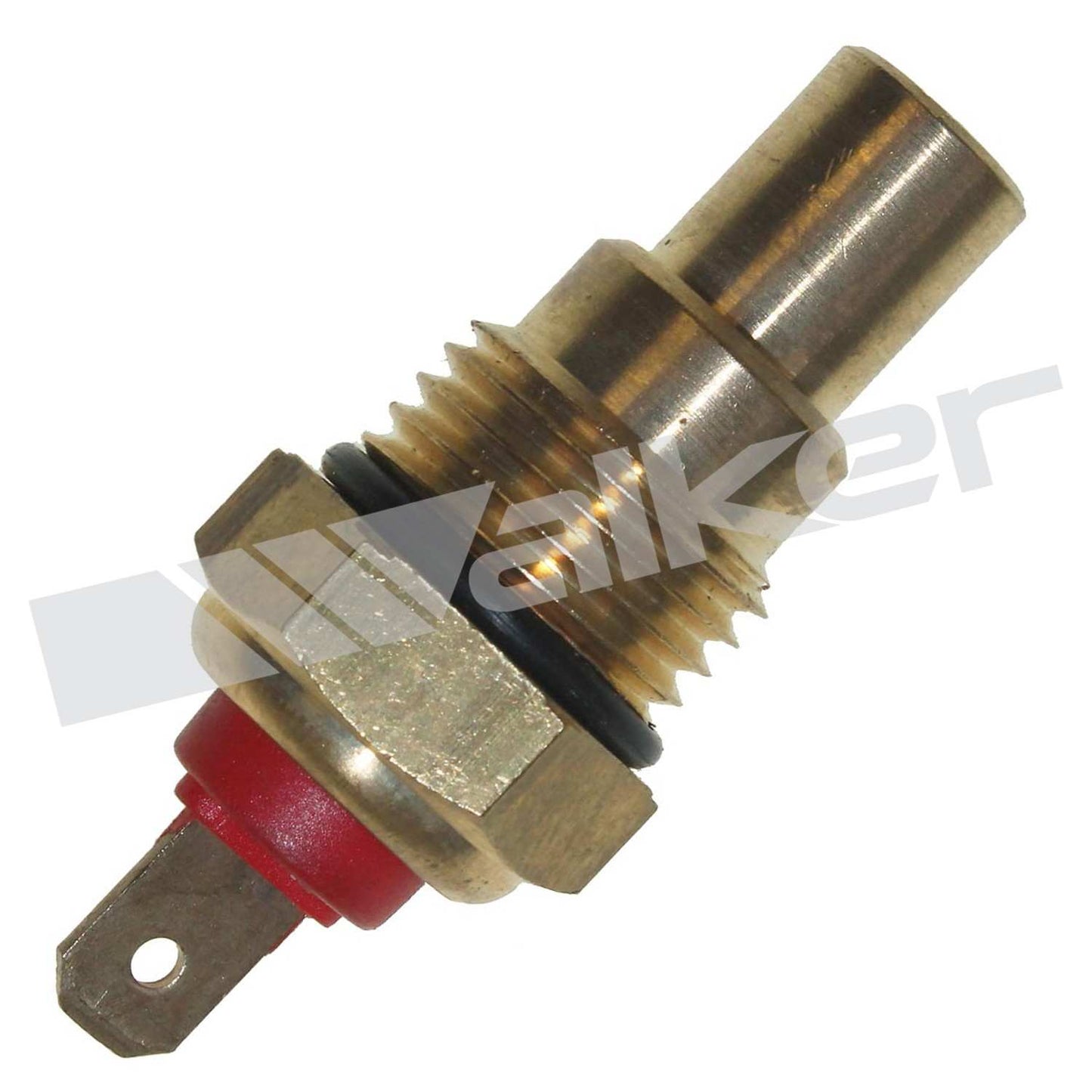 Front View of Engine Coolant Temperature Sender WALKER 214-1010