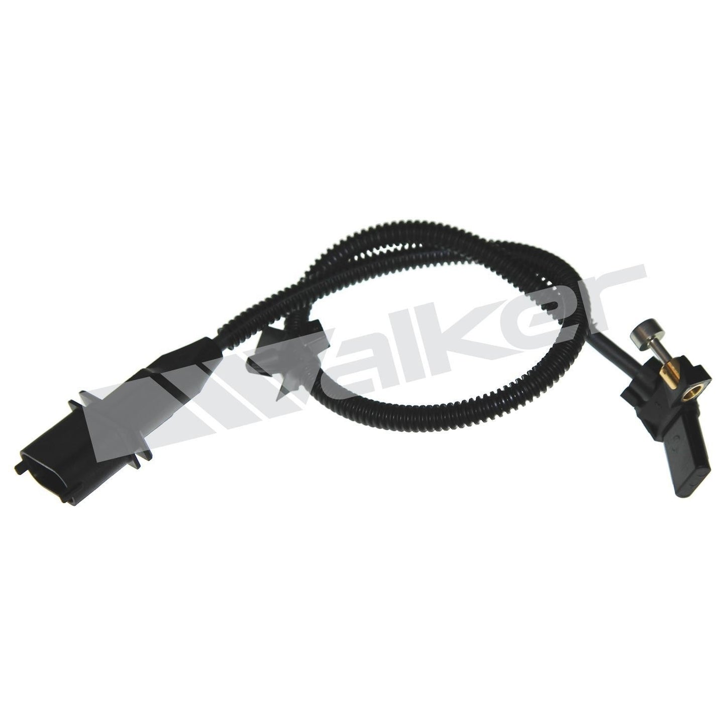 Front View of Engine Crankshaft Position Sensor WALKER 235-1455