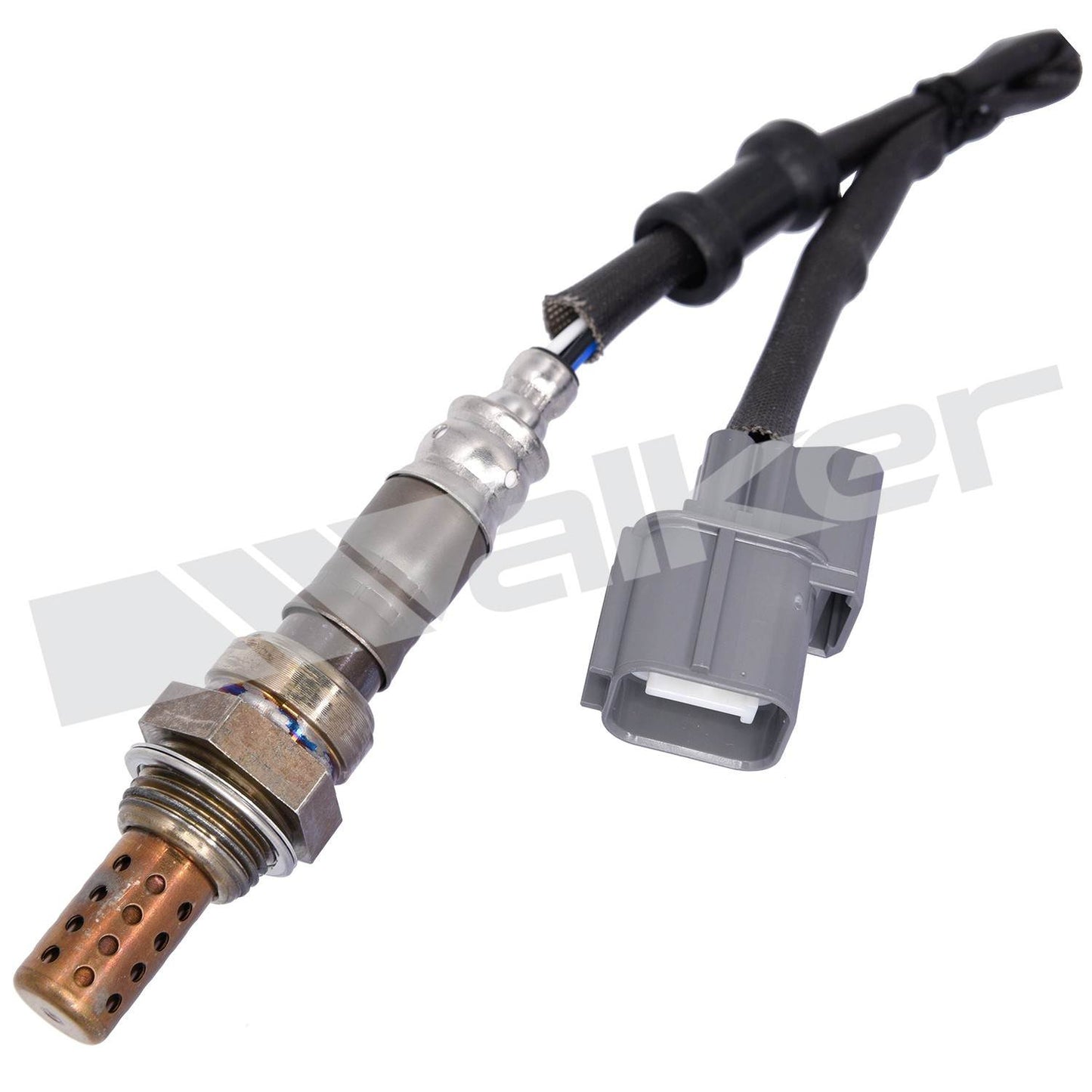 Front View of Oxygen Sensor WALKER 250-24011