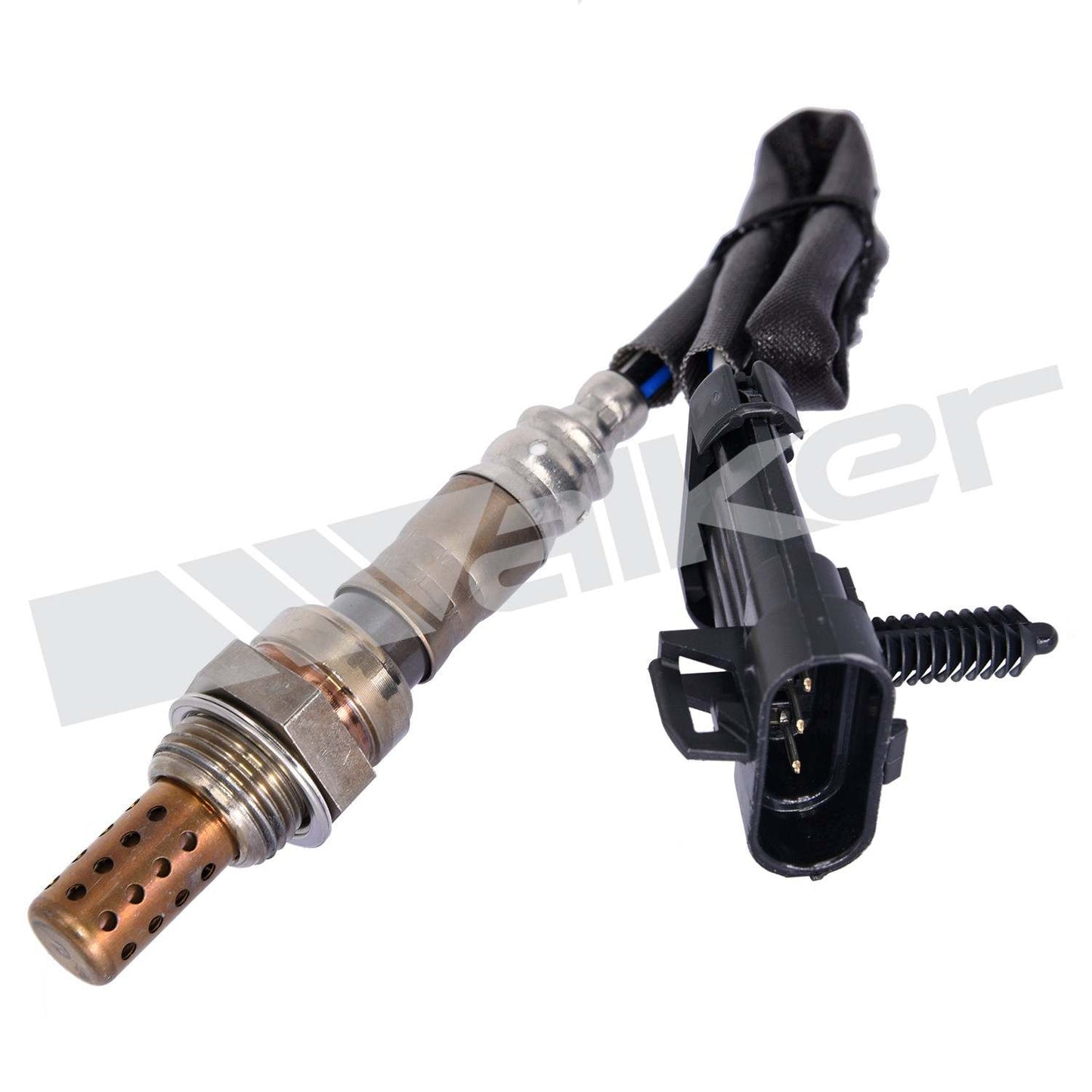 Front View of Downstream Oxygen Sensor WALKER 250-24012