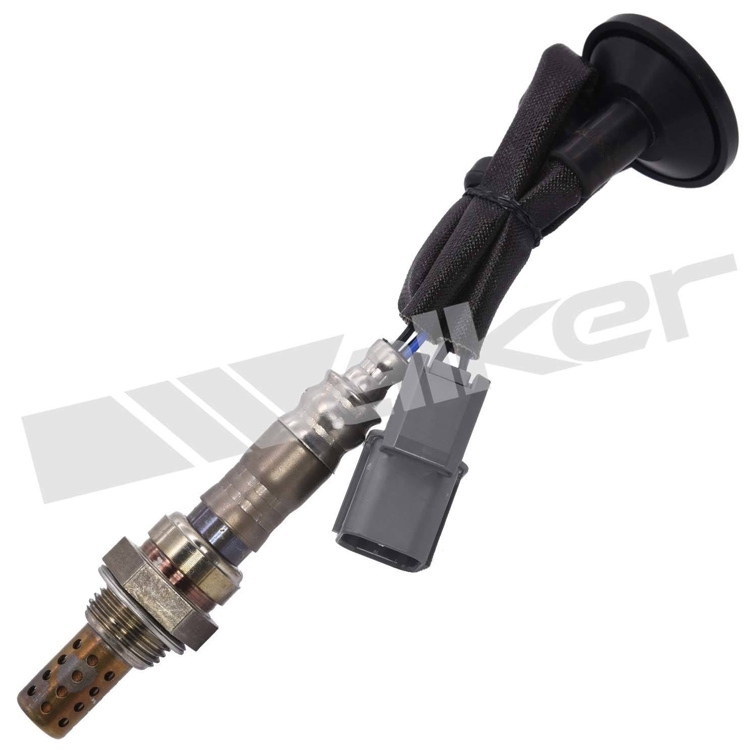 Front View of Downstream Oxygen Sensor WALKER 250-24105