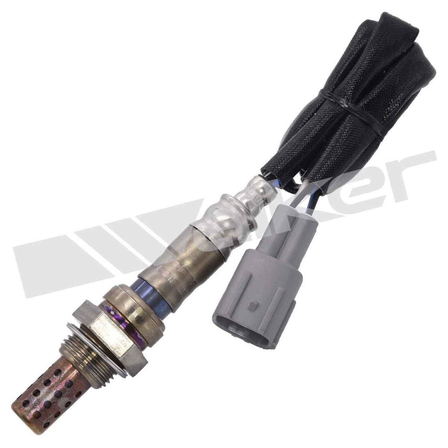 Front View of Oxygen Sensor WALKER 250-24106