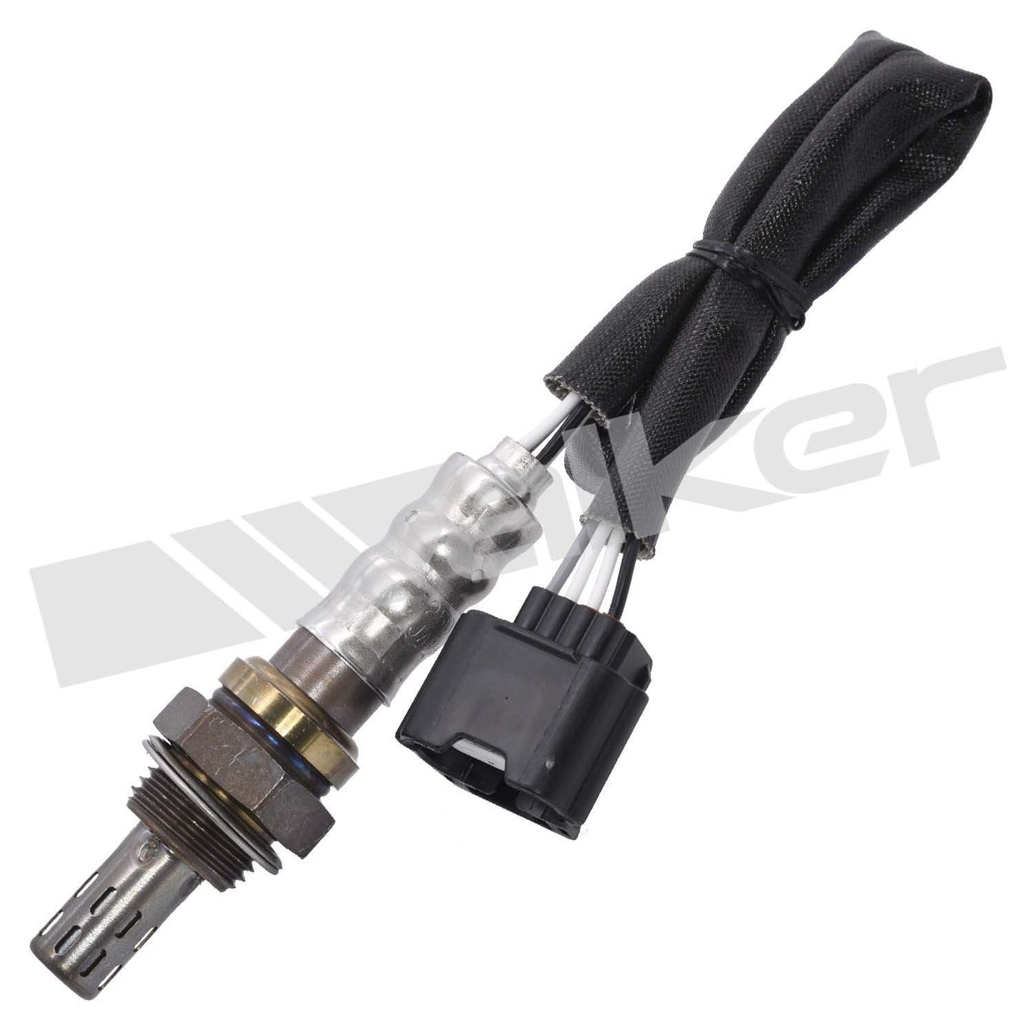 Front View of Downstream Oxygen Sensor WALKER 250-241106