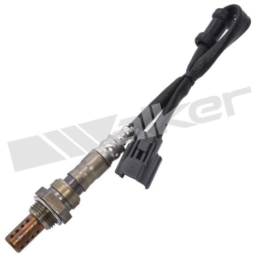 Front View of Downstream Oxygen Sensor WALKER 250-241123